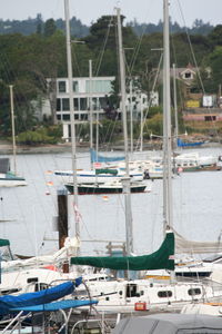 Boats in harbor