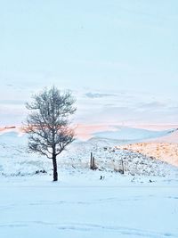 Scenic view of snow covered field against sky