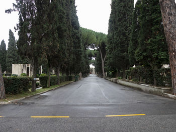 Empty road along trees and plants in city