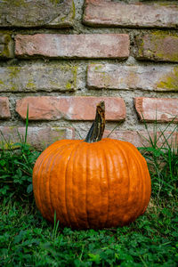 Pumpkin on hay