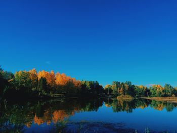 Scenic view of lake by trees against clear blue sky