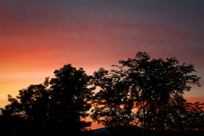 Low angle view of silhouette trees against sky at sunset
