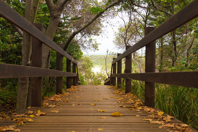 Wooden footbridge amidst trees in forest