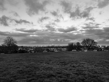 Scenic view of field against sky