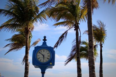 Low angle view of clock amidst palm trees