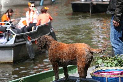 Man with dog standing in boat