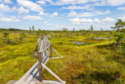 The wooden walking trail goes through small ponds in the swamp. the great kemeri bog