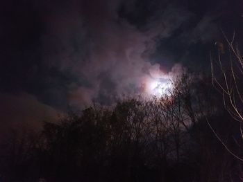 Low angle view of silhouette trees against sky at night