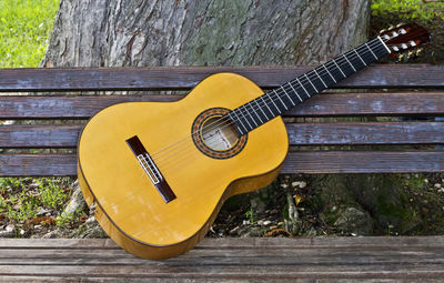 Close-up of guitar on tree trunk