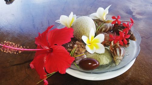 High angle view of hibiscus flowers