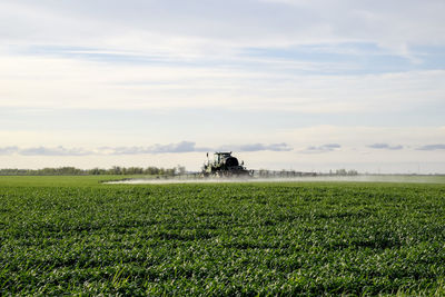 Scenic view of agricultural field against sky