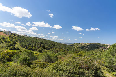 A view of a mountain range of a green forest against a dramatic back of blue sky with clouds. 