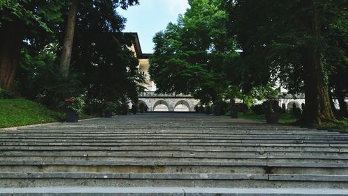 Statue of steps against trees