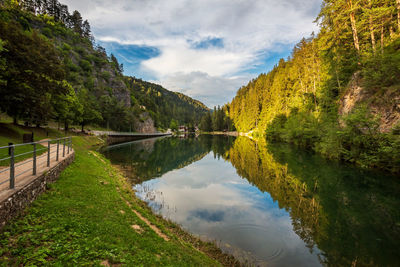 Scenic view of lake by trees against sky