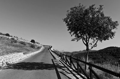 Empty road along trees