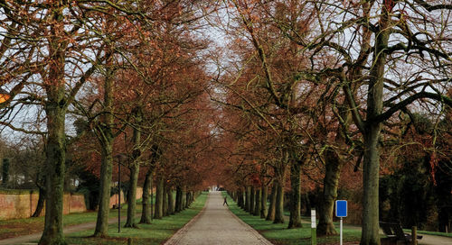 Footpath amidst trees in park during autumn