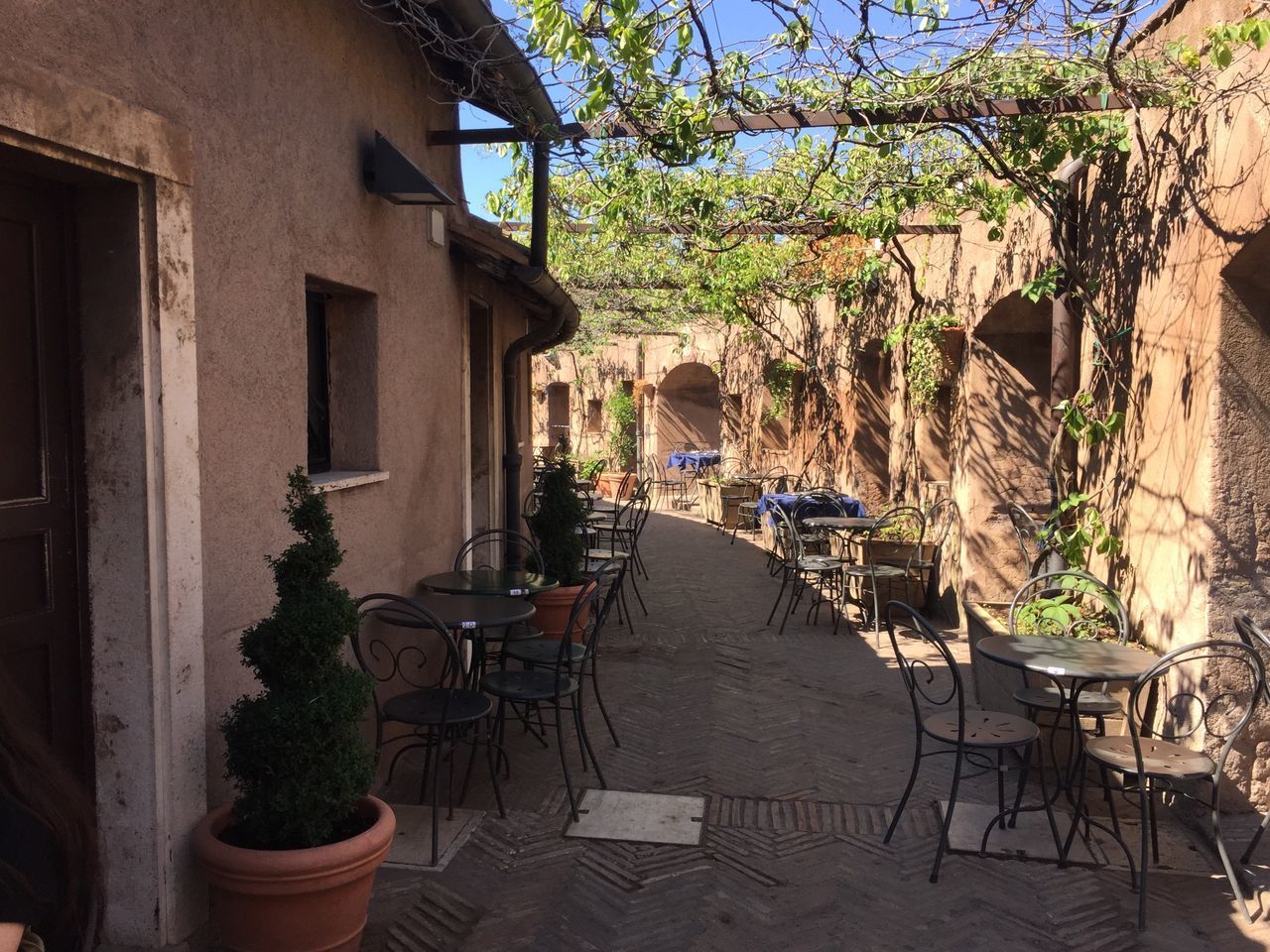 EMPTY CHAIRS AND TABLES AGAINST TREES