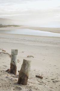 Wooden posts on beach against sky