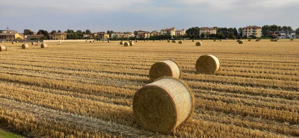 Hay bales on field against sky