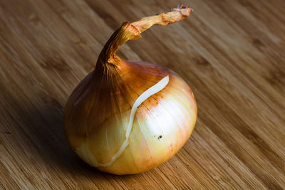 Close-up of onions on table