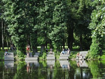 Trees in park