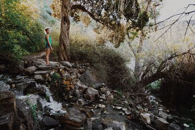 Woman standing on tree trunk in forest