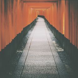 Footpath in torii gate