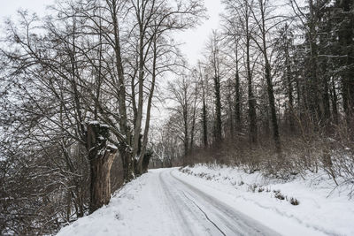 Snow covered road amidst trees during winter