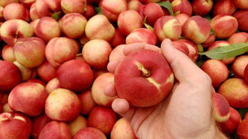 Close-up of hand holding fruit