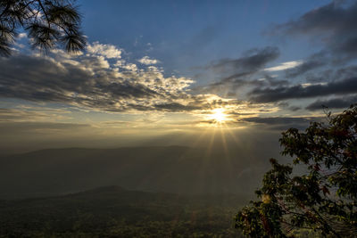 Sunlight streaming through trees against sky during sunset