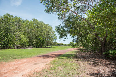 Dirt road amidst trees and plants in field