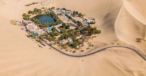 High angle view of trees in desert