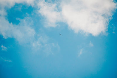 Low angle view of bird flying in sky