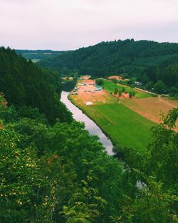 Scenic view of green landscape