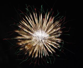 Low angle view of firework display against sky at night