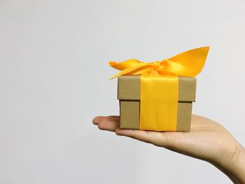 Cropped hand of person holding gift box against white background
