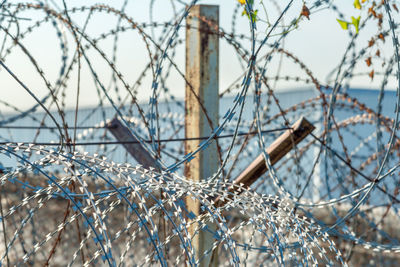 Close-up of barbed wire fence during winter