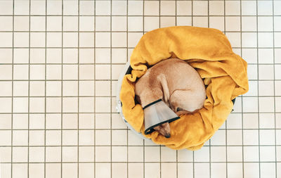 High angle view of stuffed toy