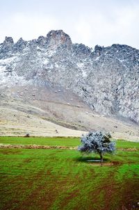 Scenic view of landscape against sky during winter