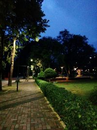 Footpath in park at night