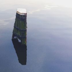 Reflection of trees in water