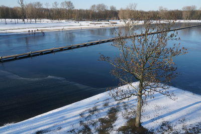 Frozen lake by trees during winter