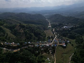 environment
