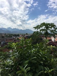 View of trees in city against cloudy sky