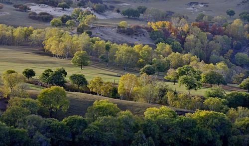 Scenic view of green landscape