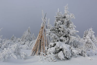 Snow covered land and trees against sky