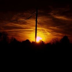 Silhouette of trees at sunset