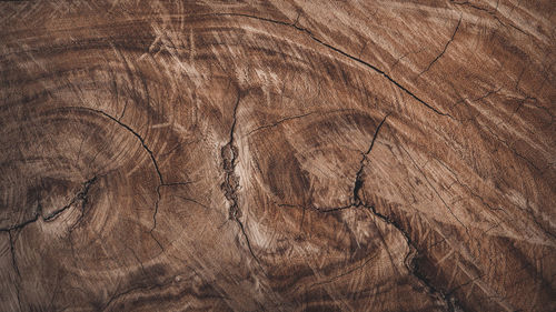 Textures on wood - wood texture - wooden backgrounds - bg background dark brown color