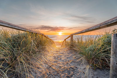 Beautiful sunrise at new brighton beach, christchurch, new zealandz