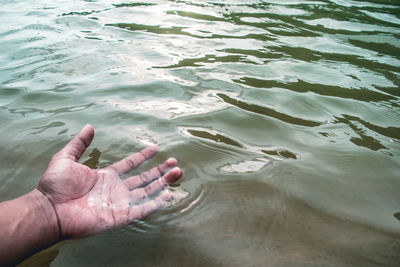 High angle view of person hand in sea